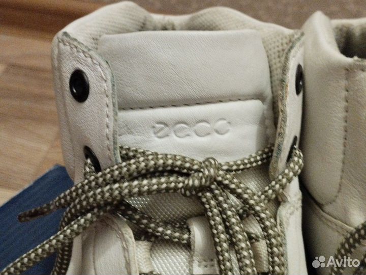 Мужские кеды ecco