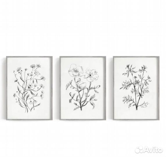 Постеры печатные