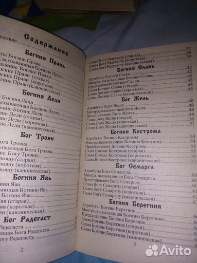 Славы русским Богам. Шемшук В.А