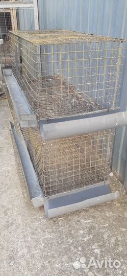 Клетки для перепелок бу