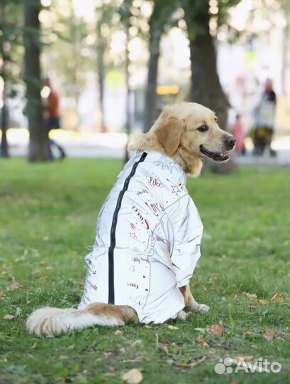 Комбинезон для собак крупных пород