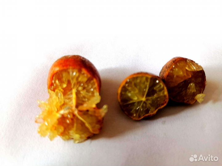 Микроцитрусы