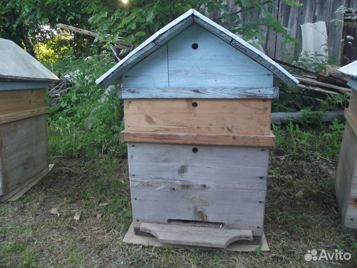 Пчелы с ульями