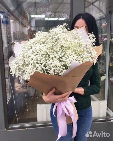 Белая гипсофила