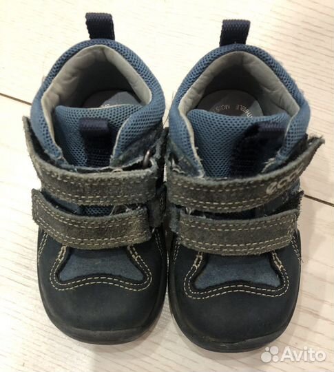 Ботинки Ecco 19 оригинал для мальчика