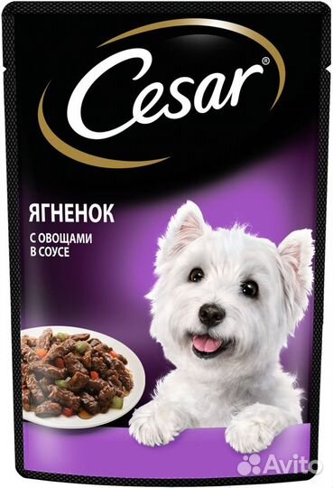 Cesar влажный корм для взрослых собак, с ягненком