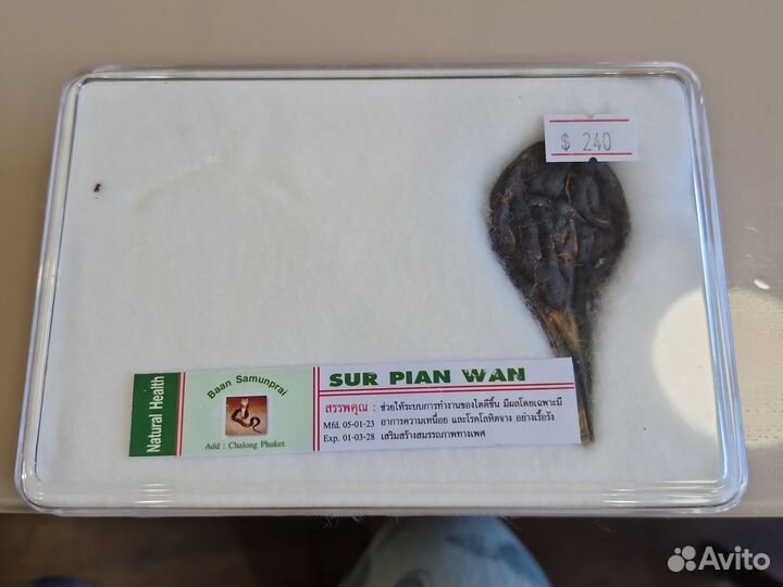 Желчный пузырь питона