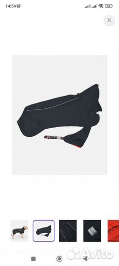 Дождевик для крупной собаки