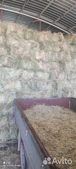 Сено люцерны в тюках