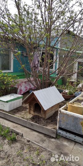 Будка для собаки