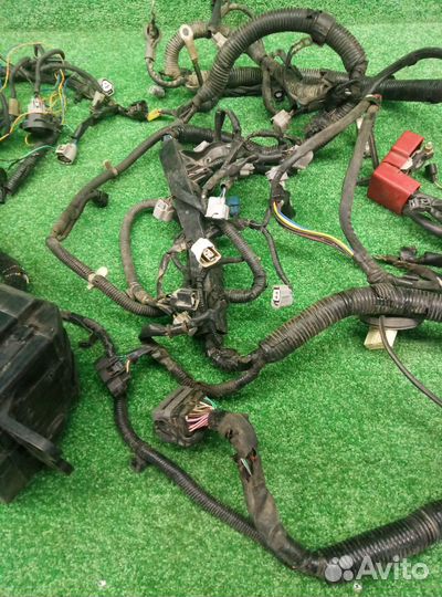 Проводка (коса) Suzuki Grand Vitara 2005-2008 мото