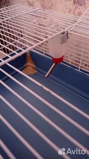 Клетка для сирийского хомяка