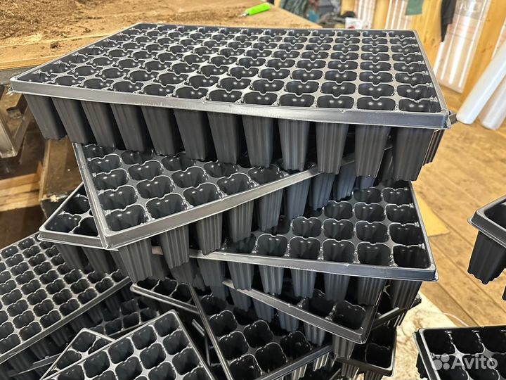 Кассета для сеянцев ель сосна 80 мл