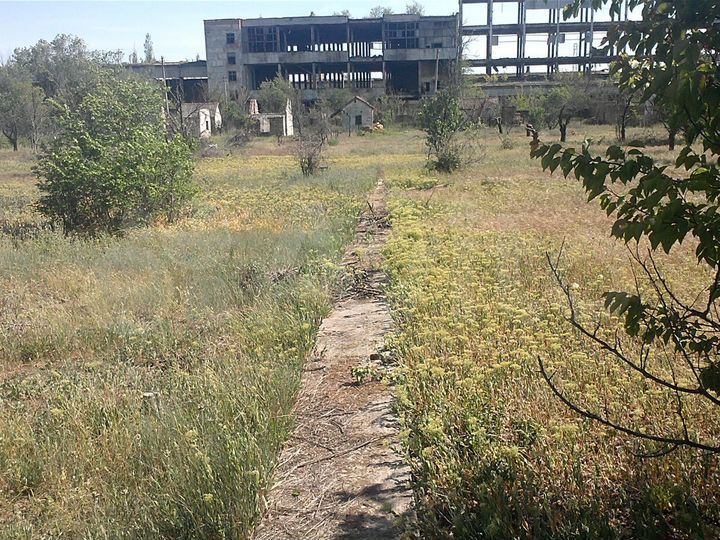 Участок 7 сот. (СНТ, ДНП)