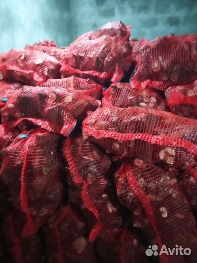 Дрова виноградной лозы
