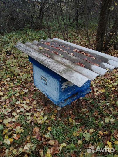 Ульи с пчелами