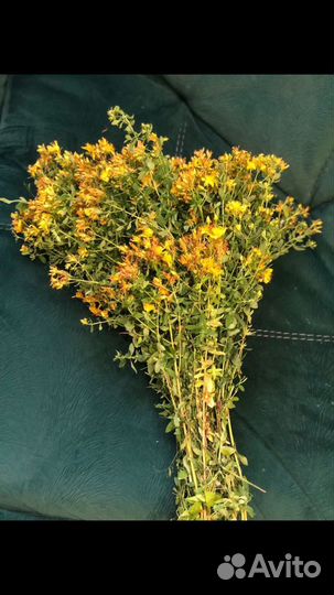 Веники банные