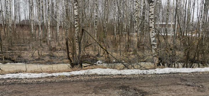 Участок 8 сот. (ИЖС)