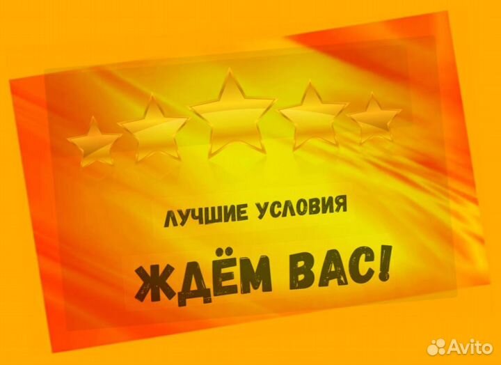 Комплектовщик Спецодежда Еженедельный аванс М/Ж