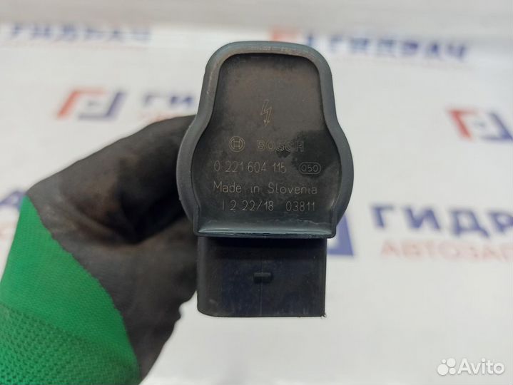 Катушка зажигания Skoda Superb 2 0221604115