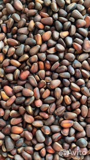 Кедровые орехи 1 кг