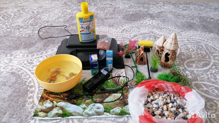 Аквариумные рыбки