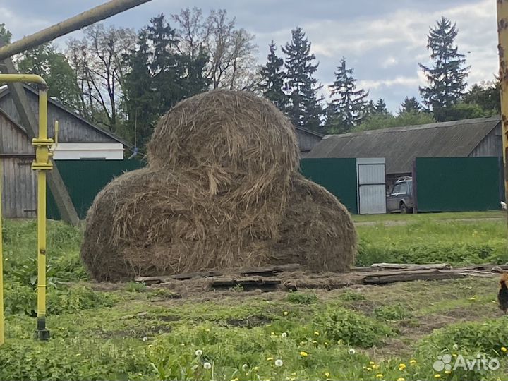 Сено в тюках