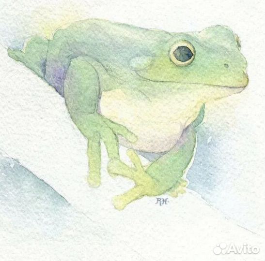 Рисунки рептилий и амфибий