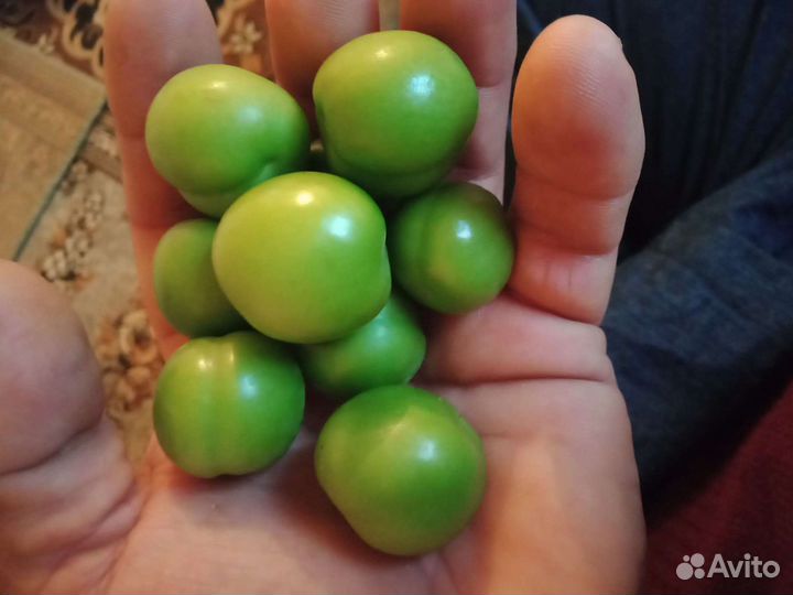 Отдам бесплатно