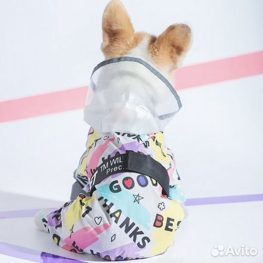 Одежда для собак