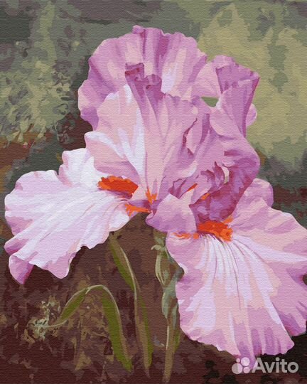 Картины раскраски по номерам новые