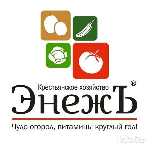 Разнорабочие