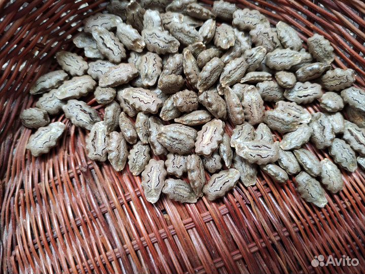 Семена трихозант