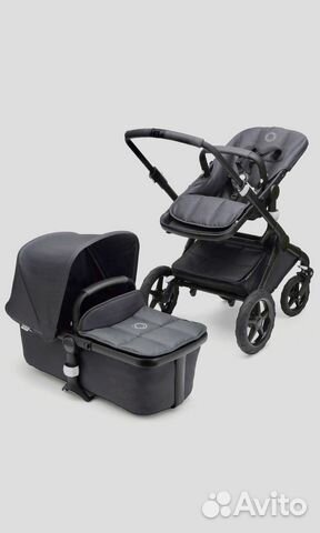 Stellar bugaboo fox online