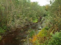 Участок 9,7 га (СНТ, ДНП)