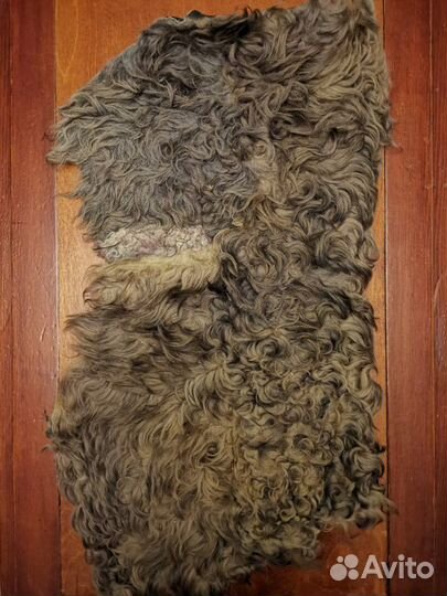 Шкурка животного