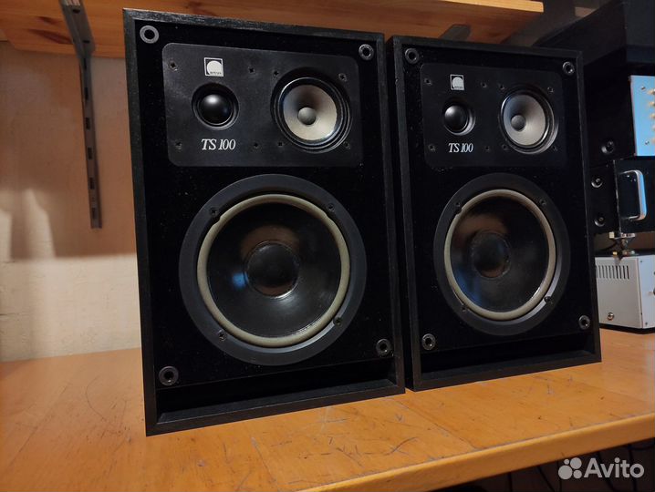 Arcus TS 100 акустика