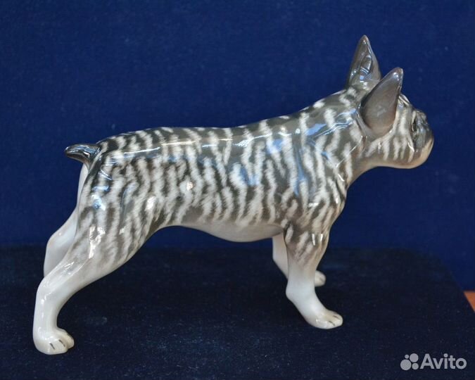 Фарфоровая статуэтка- французский бульдог.ифз