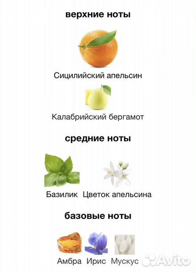 Orange Dolce & Gabbana 15мл