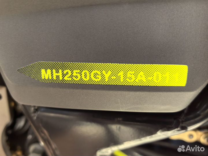 Avantis Tourist 250 171 мотор для дальних поездок