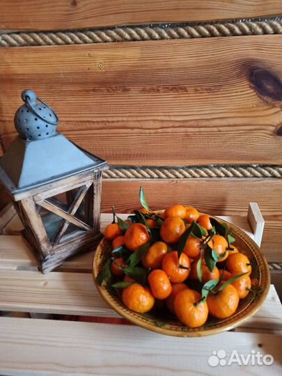 Баня русская на дровах аренда