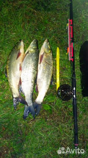 Реверсивный кораблик для ночной и дневной рыбалки