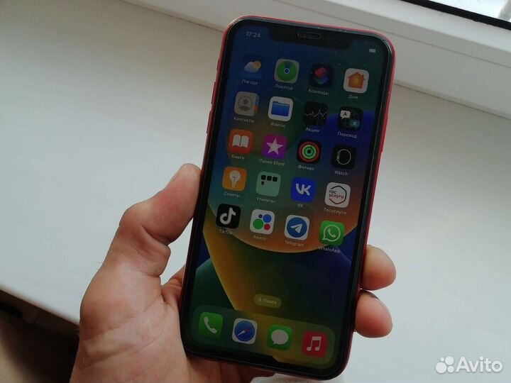 iPhone XR