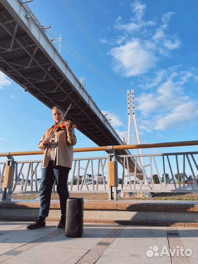 Скрипачка на праздник