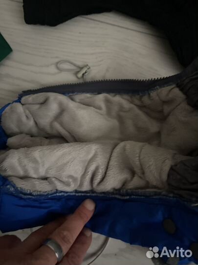 Одежда для собак мини и обувь