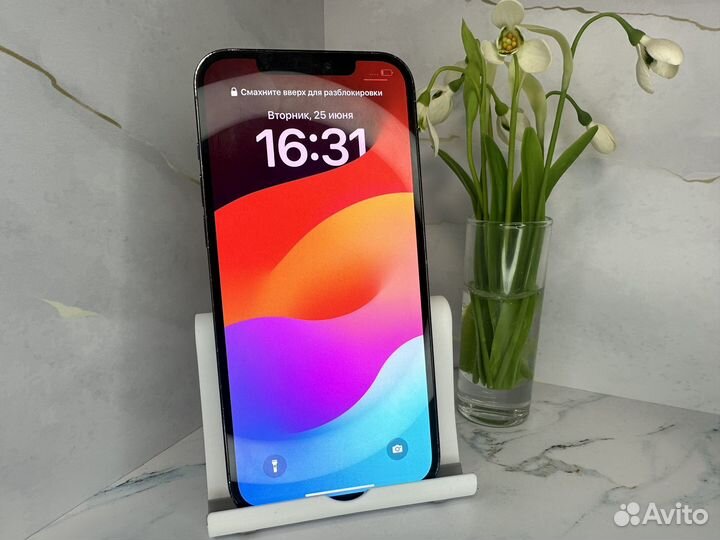 iPhone 12 Pro Max, 256 ГБ