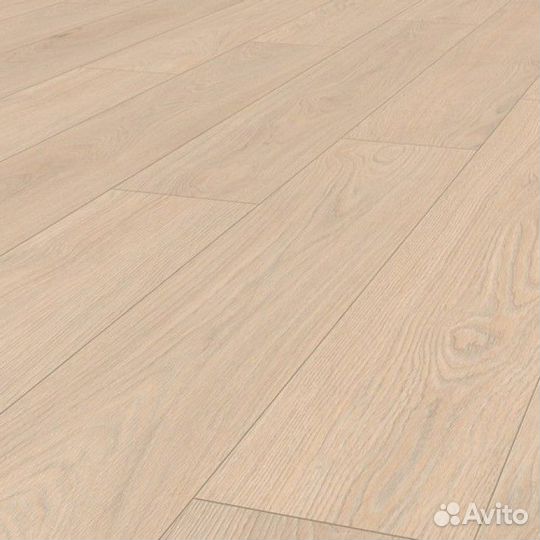 4277 Дуб Меридиан 33 класс