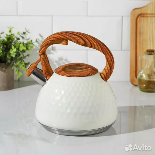 Чайник из нержавеющей стали Magistro Heat, 3 л