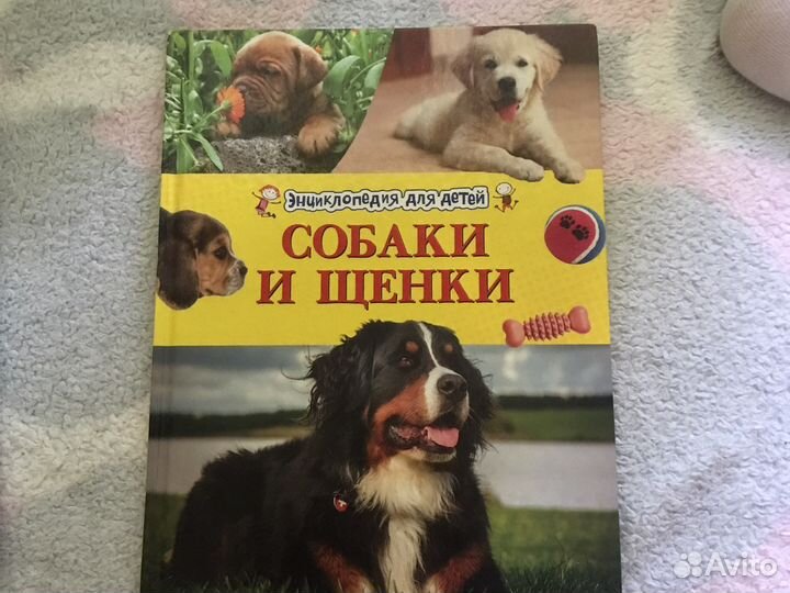 Детская энциклопедия