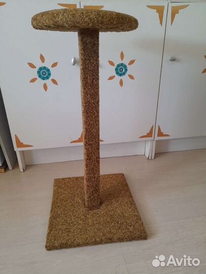 Когтеточка